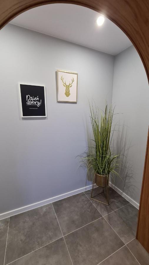Apartment Deluxe 2